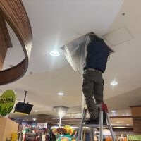 画像2544