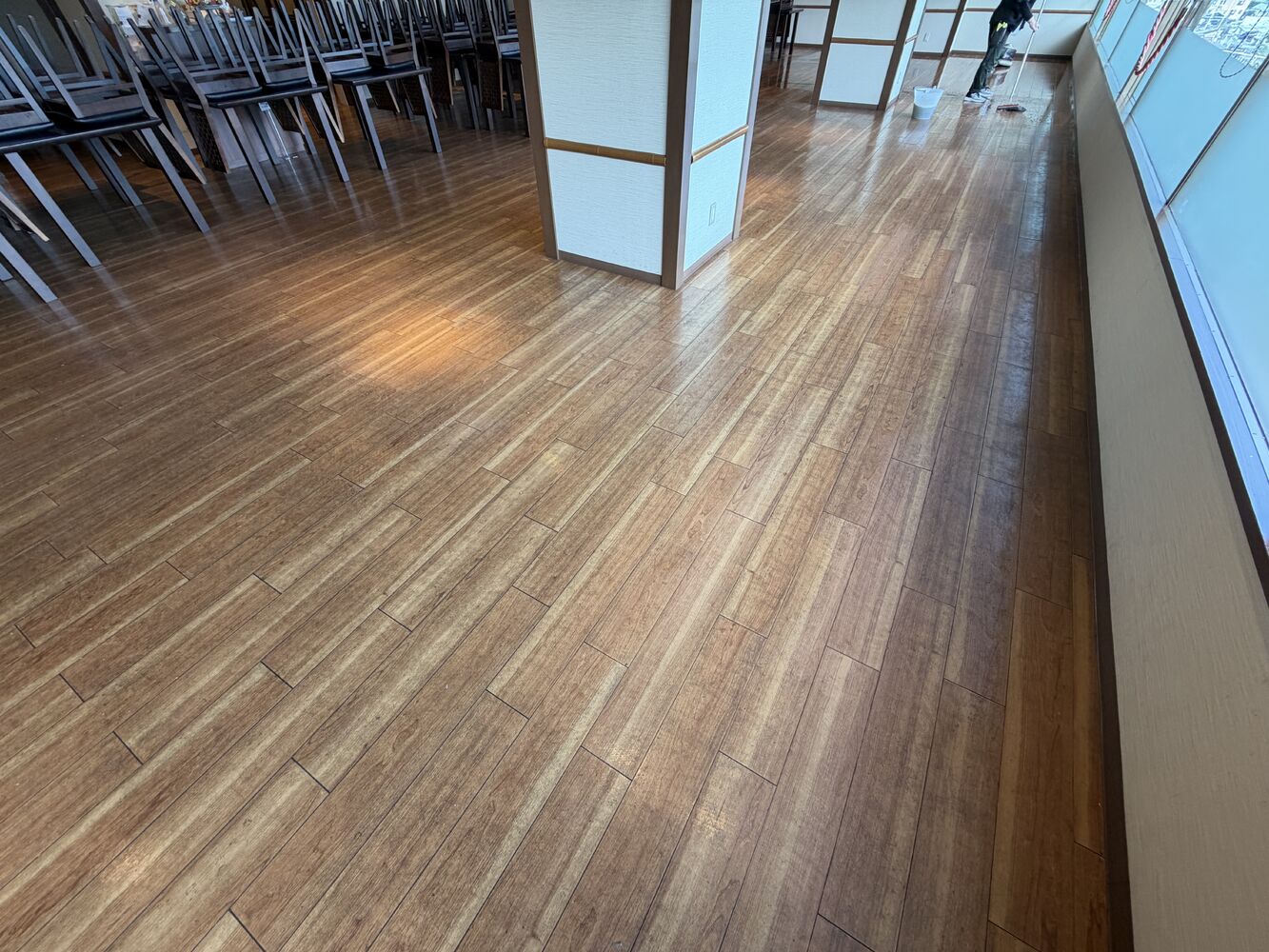 画像2582
