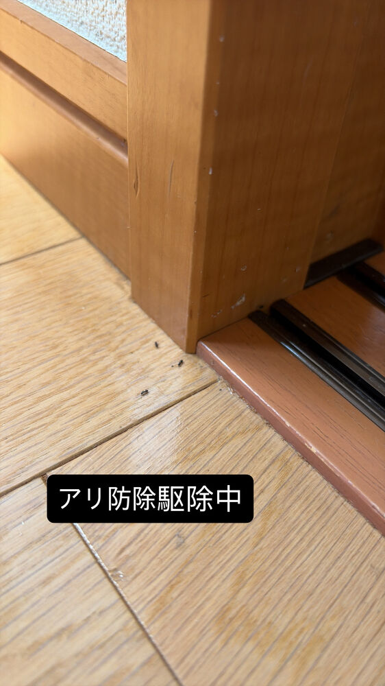 画像2630