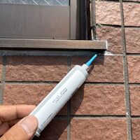 画像2631