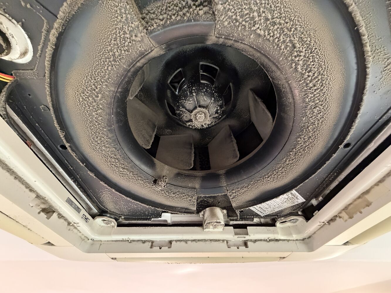 画像2652